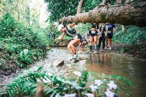 BIB: 
                            <button type="button" onclick="openModal(25515739)" class="btn btn-primary btn-sm float-right btn-popup" data-toggle="modal" data-target=".modal-high-quality">
                        <i class="fas fa-shopping-cart"></i> Add to Cart
                    </button>
                                            <button type="button" onclick="isThisMe(25515739, true)" class="btn btn-success btn-sm float-right btn-popup btn-isme hidden" data-toggle="tooltip" data-placement="bottom" title="นี่คือรูปของคุณใช่ไหม คลิกที่นี่เพื่อเอาเข้าอัลบั้ม">
                        <i class="fas fa-plus"></i> Add to album
                    </button>
                    <button type="button" onclick="isThisMe(25515739, false)" class="btn btn-warning btn-sm float-right btn-popup btn-isnotme hidden">
                        <i class="fas fa-ban"></i> Remove from album
                    </button>